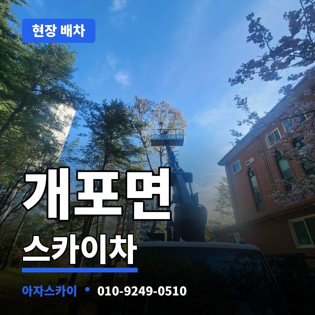 개포면 스카이차 아자스카이