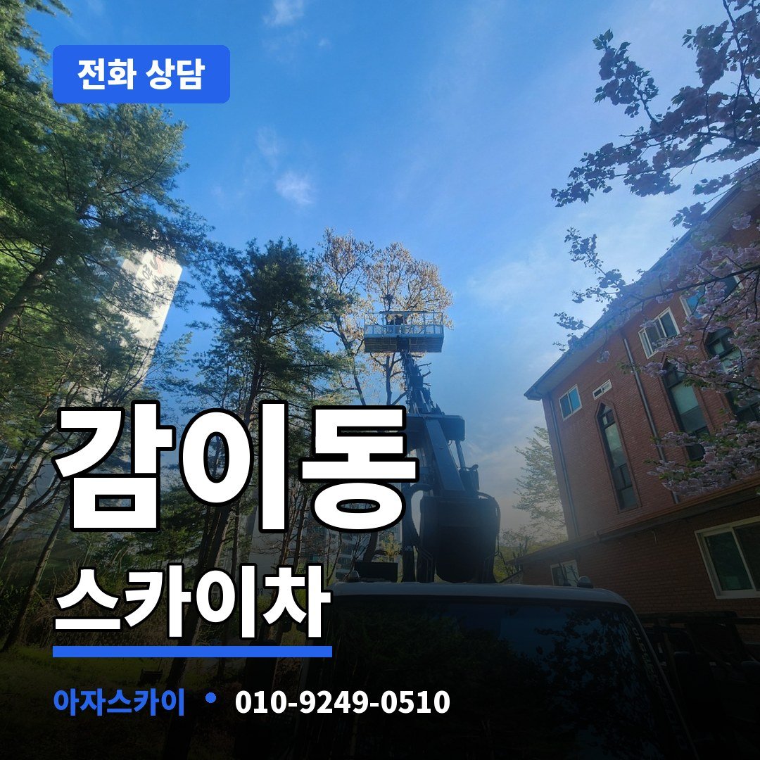 감이동 스카이차 아자스카이