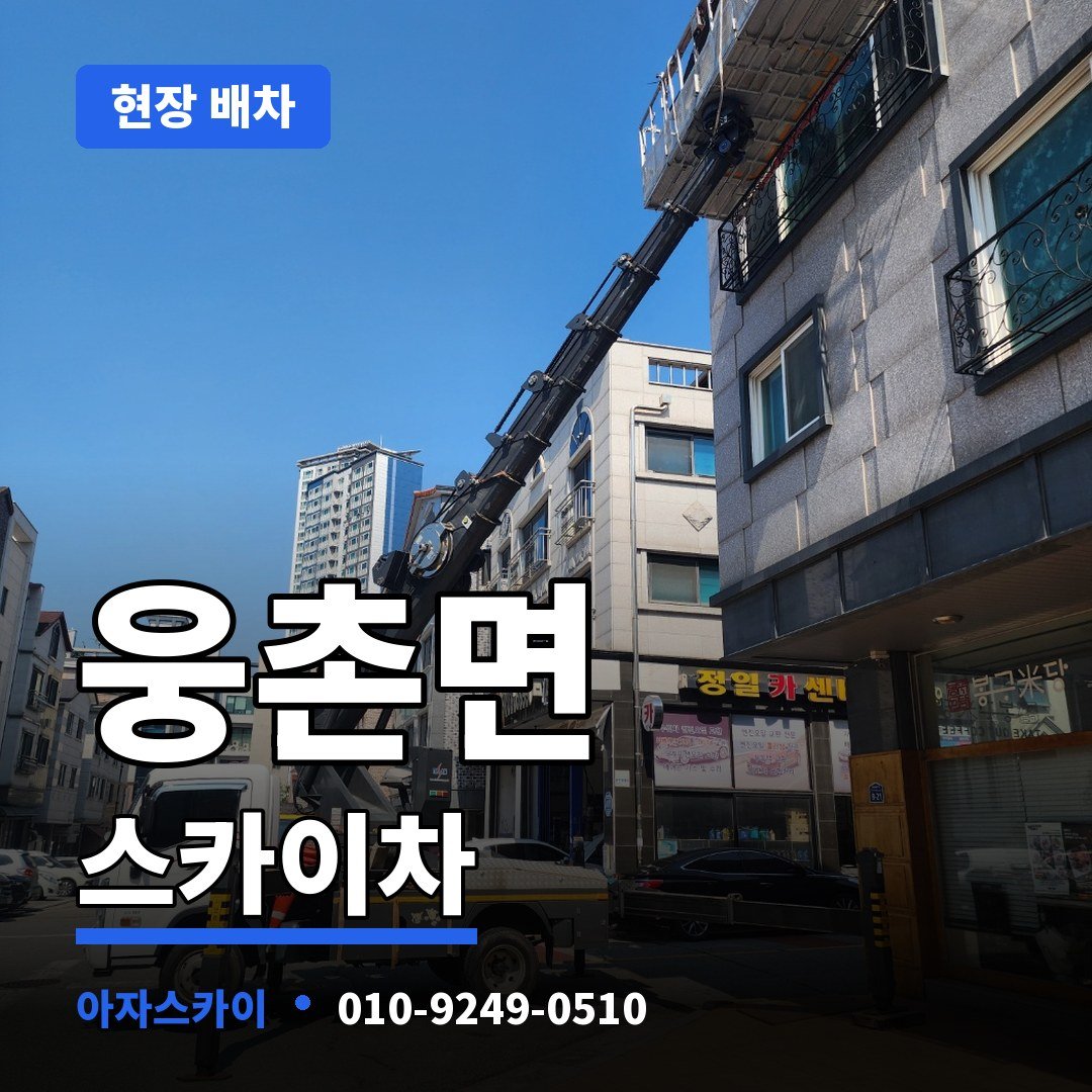 웅촌면 스카이차 아자스카이