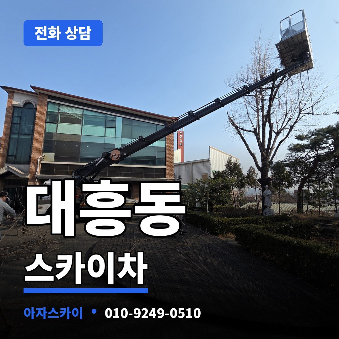 대흥동 스카이차 아자스카이