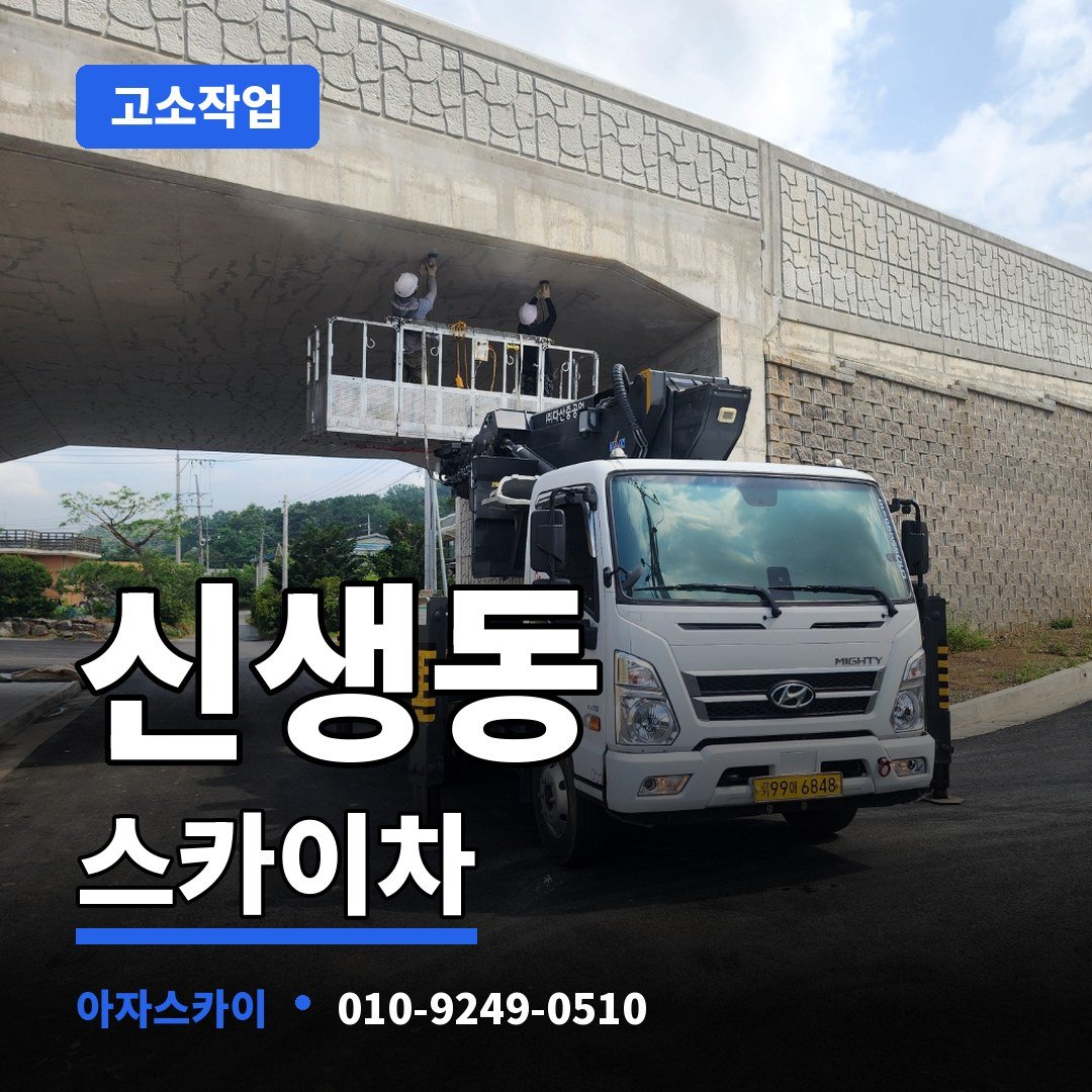 신생동 스카이차 아자스카이