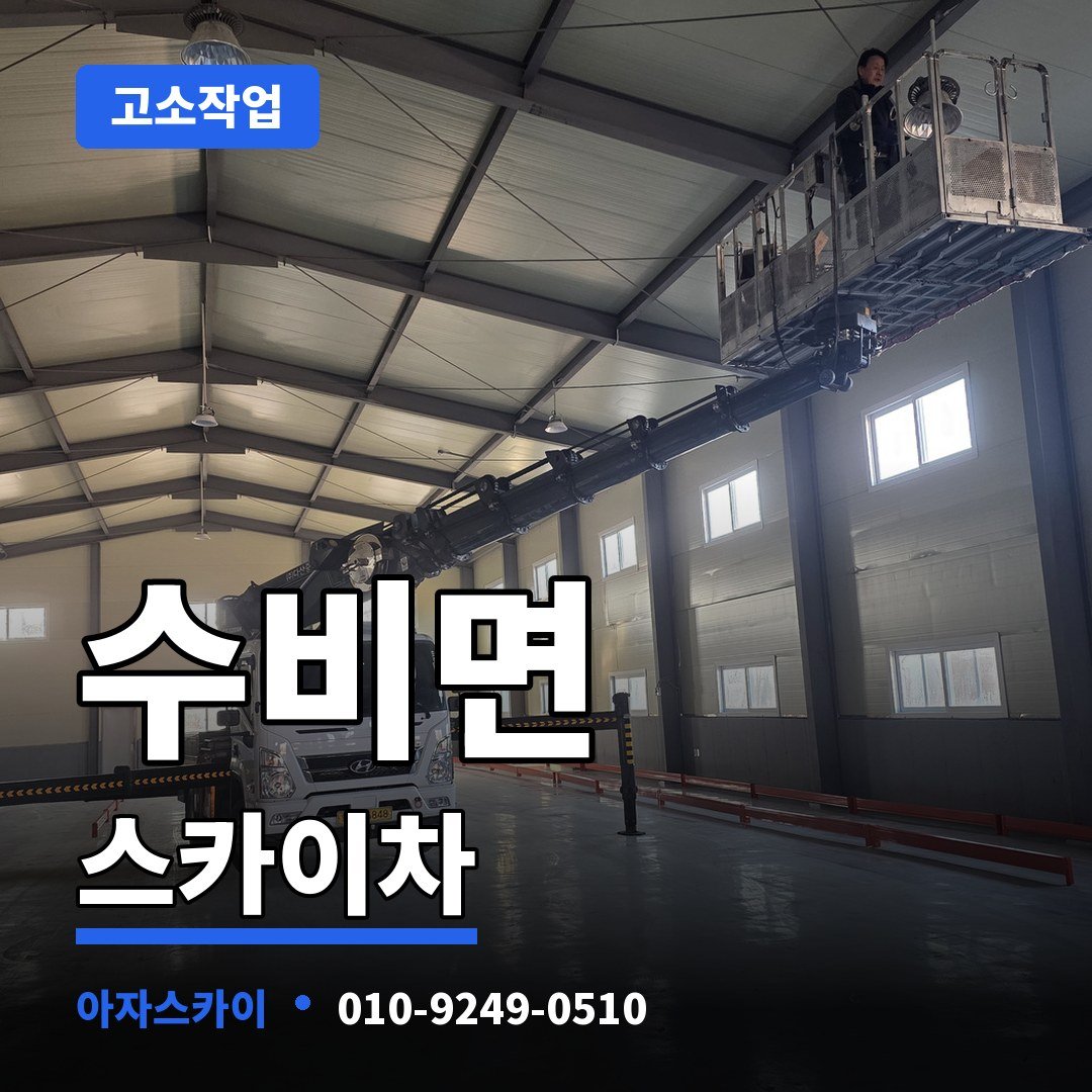 수비면 스카이차 아자스카이