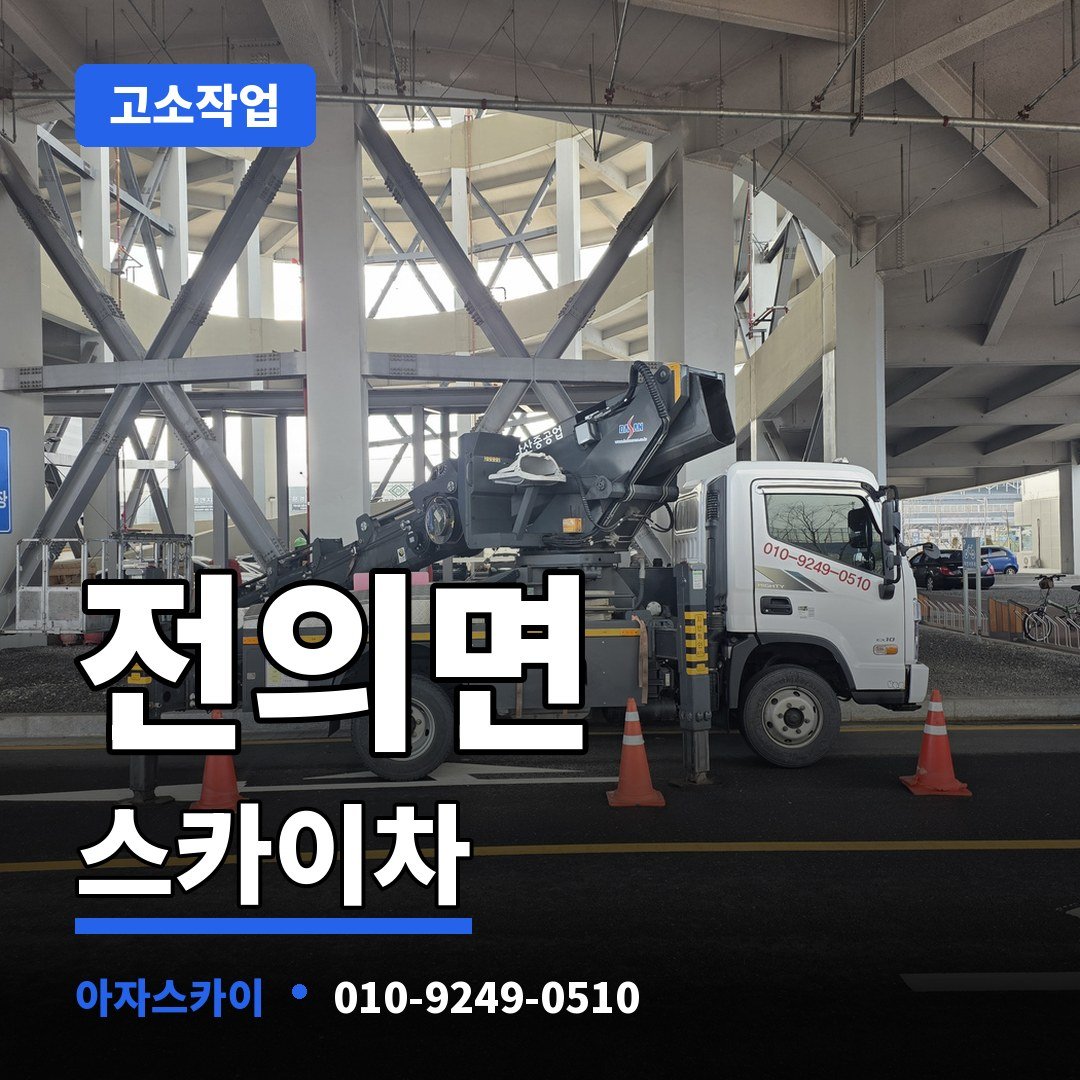 전의면 스카이차 아자스카이