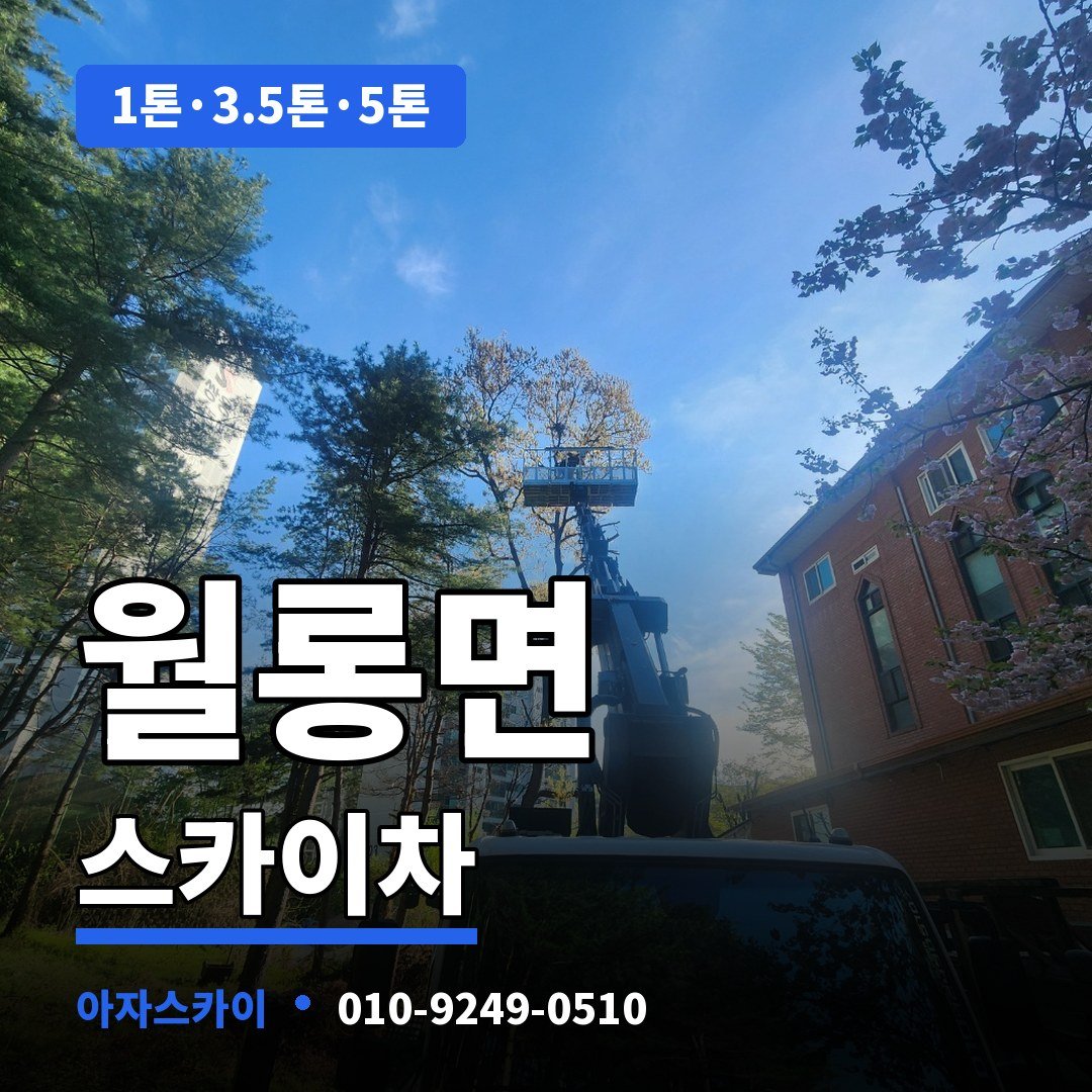 월롱면 스카이차 아자스카이