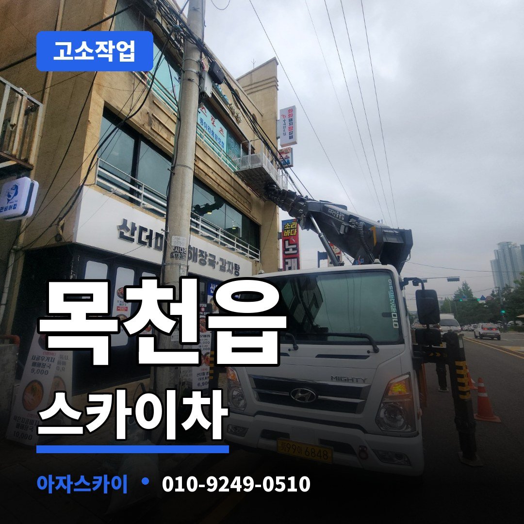 목천읍 스카이차 아자스카이