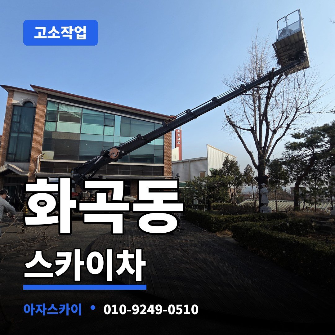 화곡동 스카이차 아자스카이
