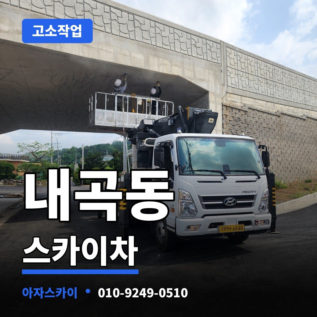 내곡동 스카이차 아자스카이