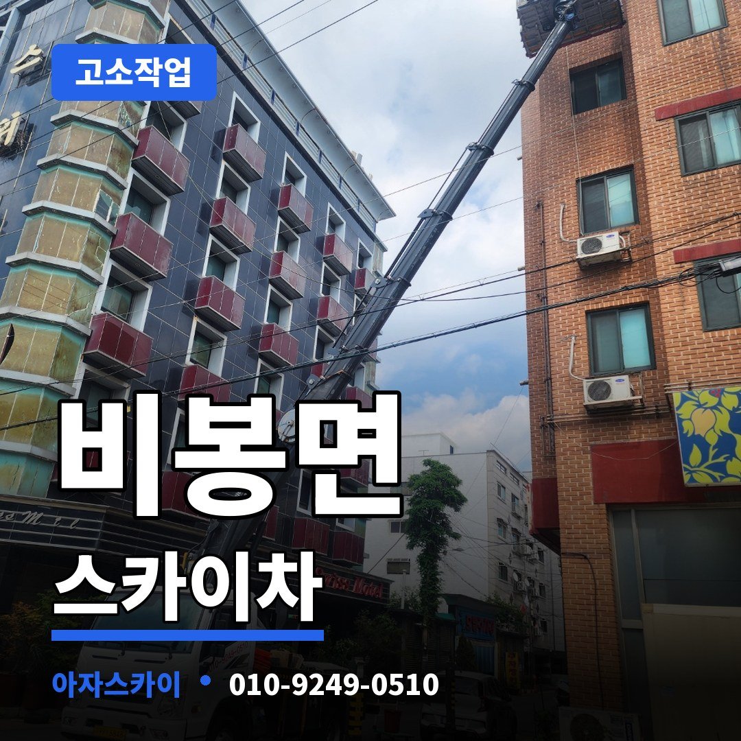 비봉면 스카이차 아자스카이