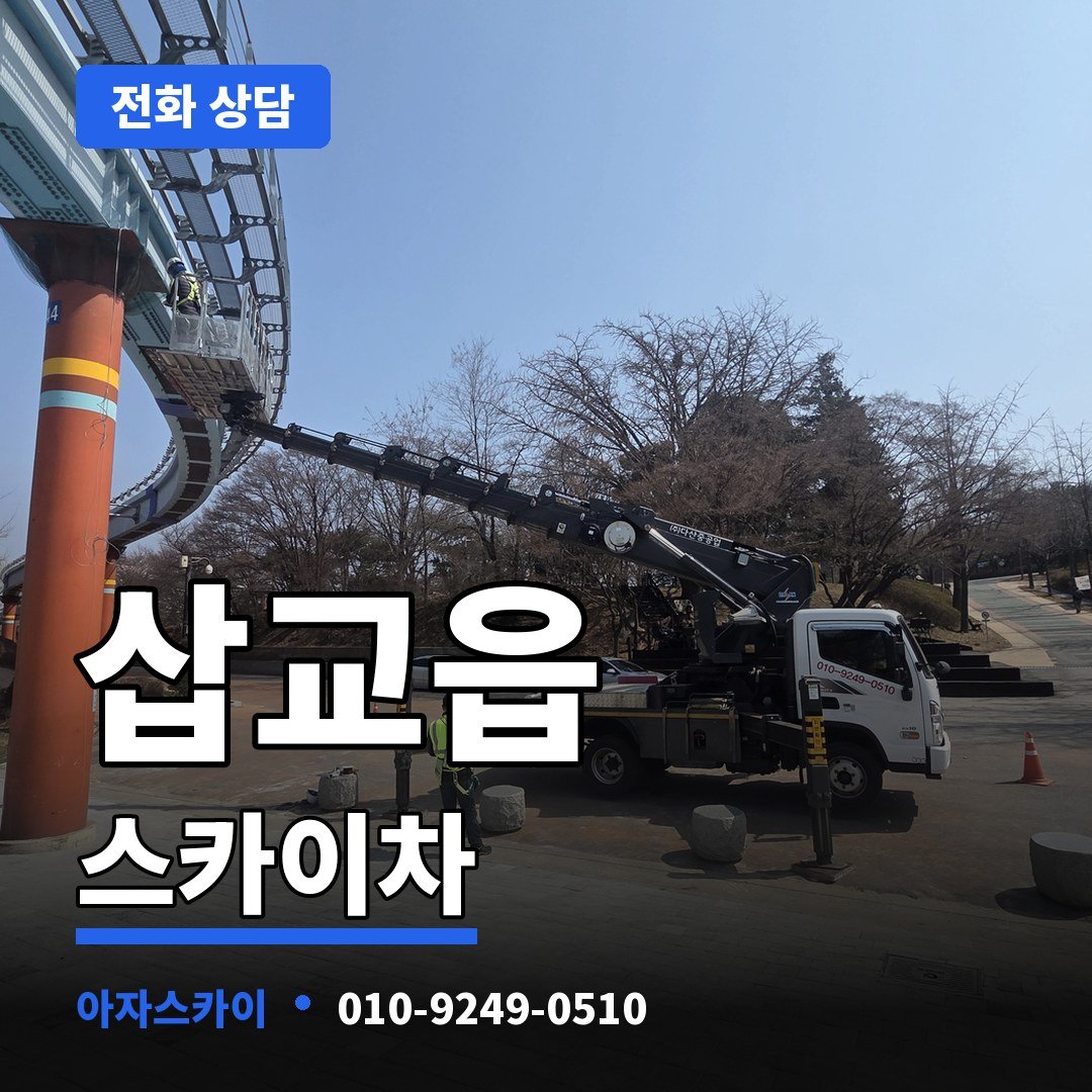 삽교읍 스카이차 아자스카이
