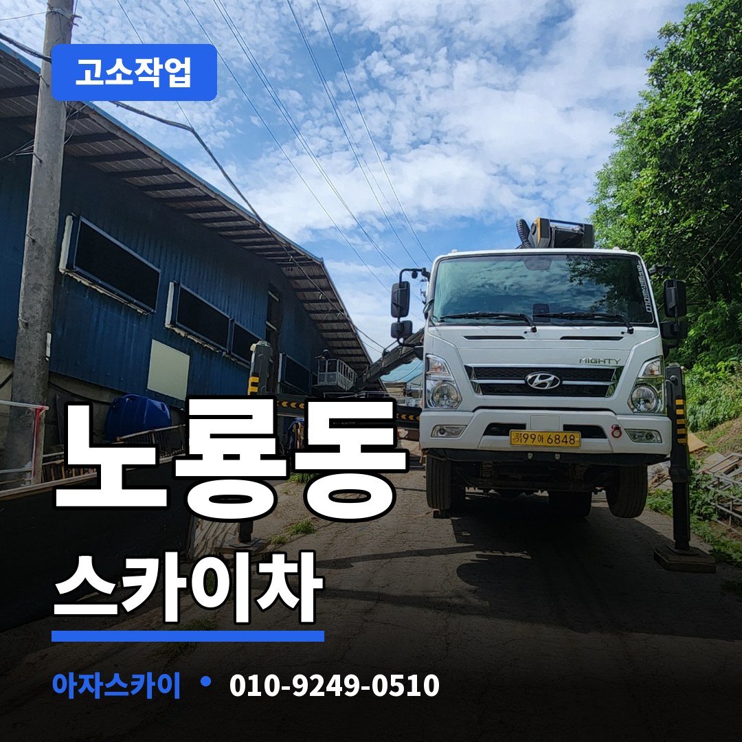 노룡동 스카이차 아자스카이