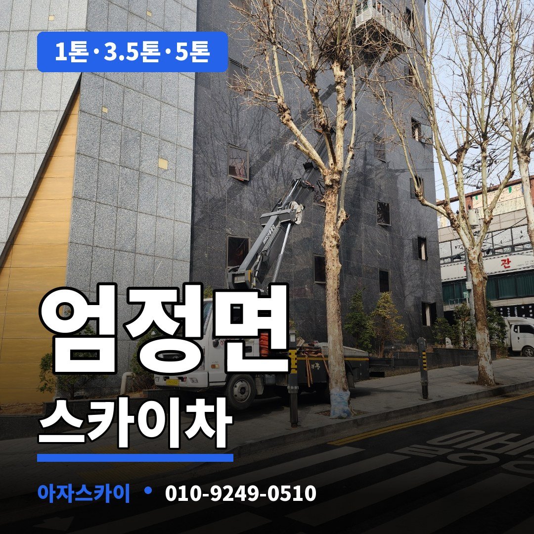 엄정면 스카이차 아자스카이