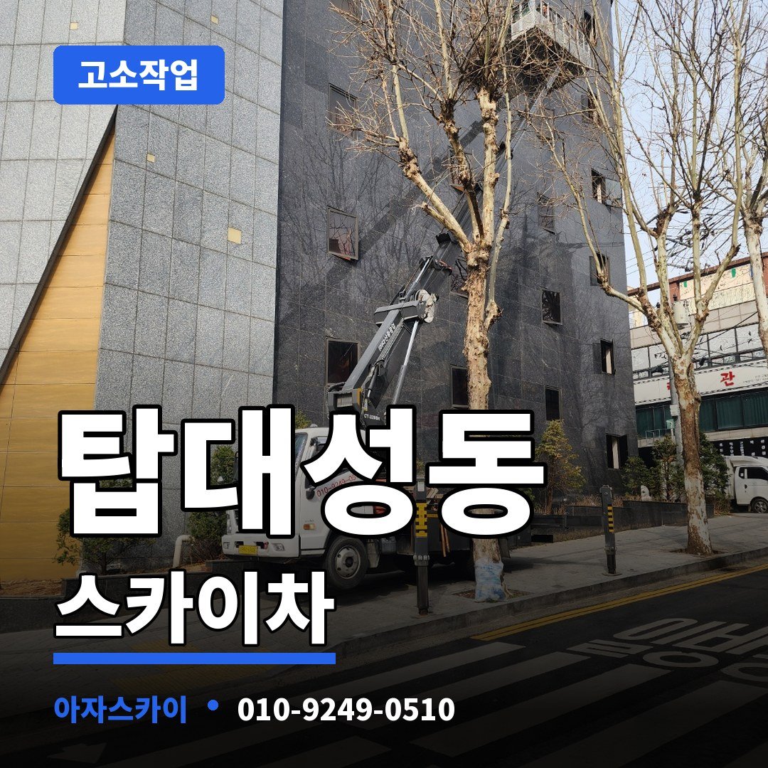 탑대성동 스카이차 아자스카이
