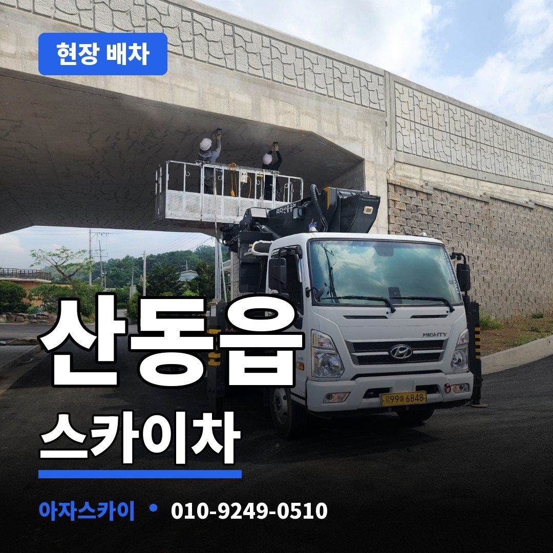 산동읍 스카이차 아자스카이