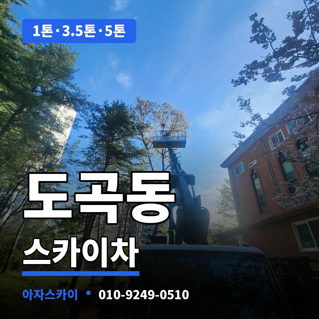 도곡동 스카이차 아자스카이