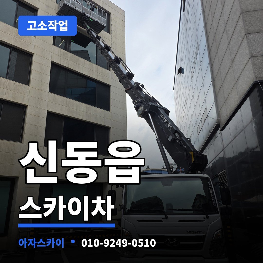 신동읍 스카이차 아자스카이