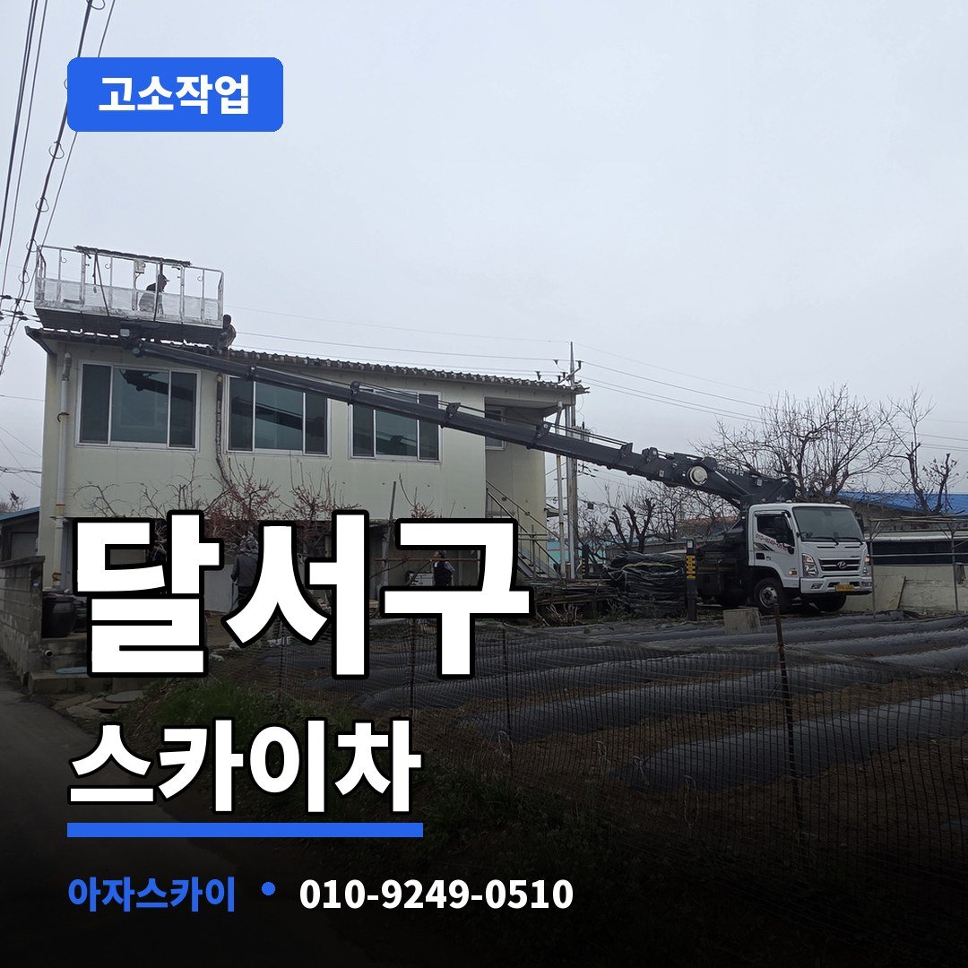 달서구 스카이차 아자스카이