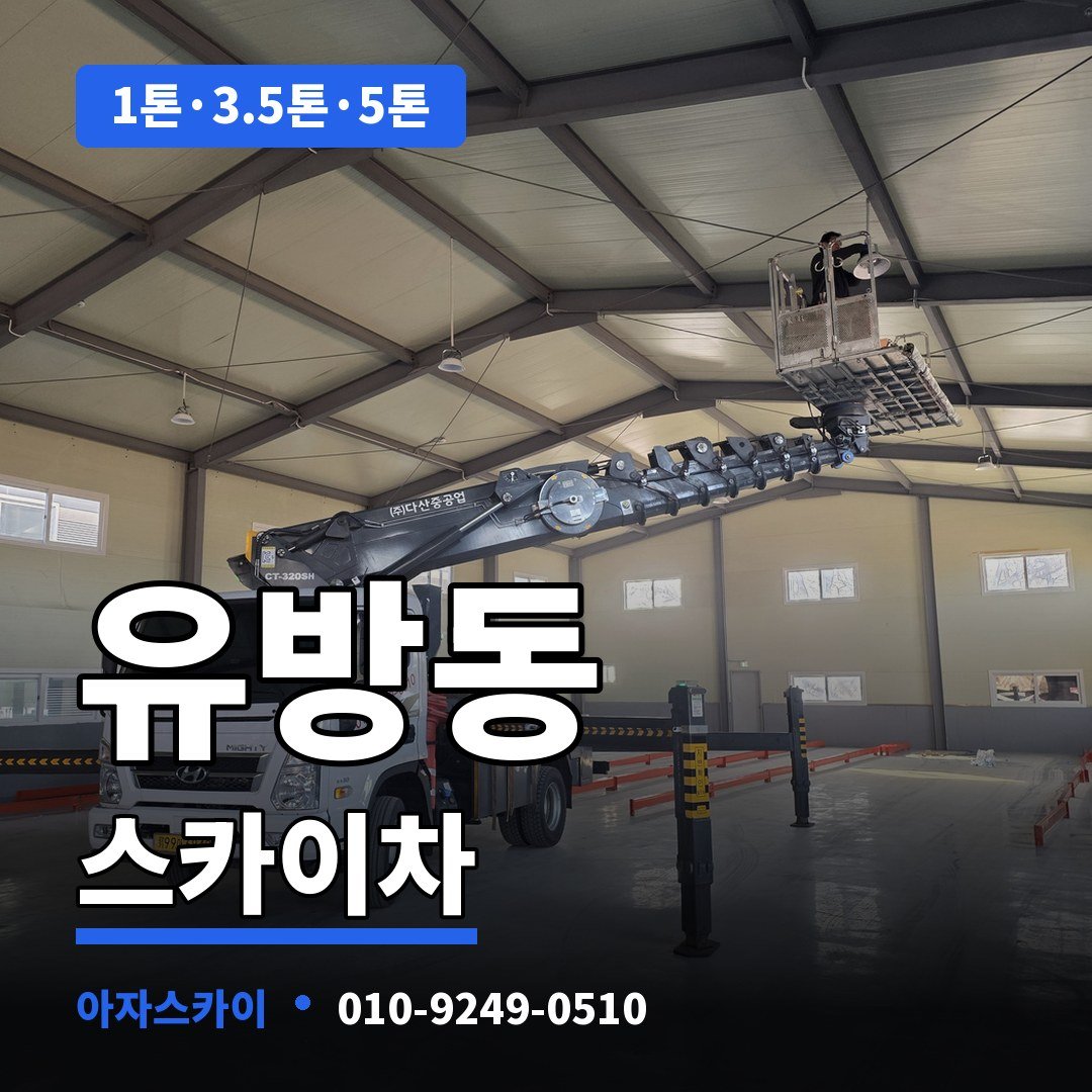 유방동 스카이차 아자스카이