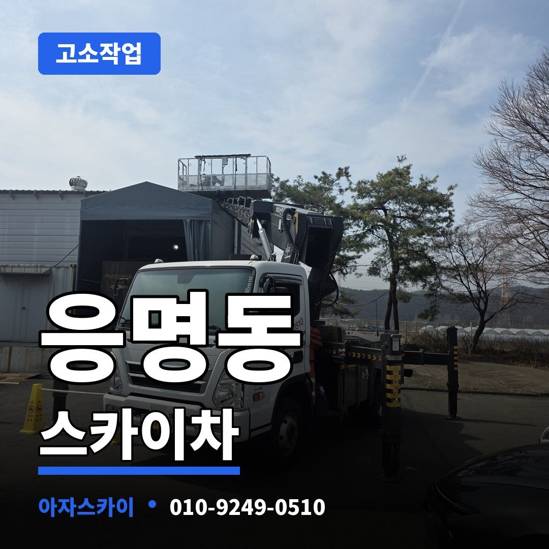 응명동 스카이차 아자스카이