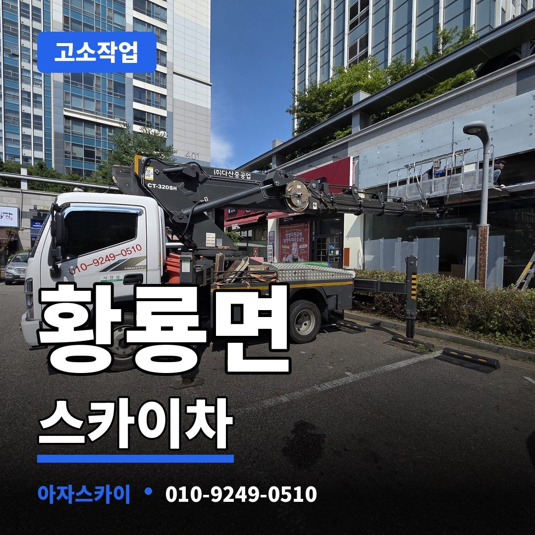 황룡면 스카이차 아자스카이