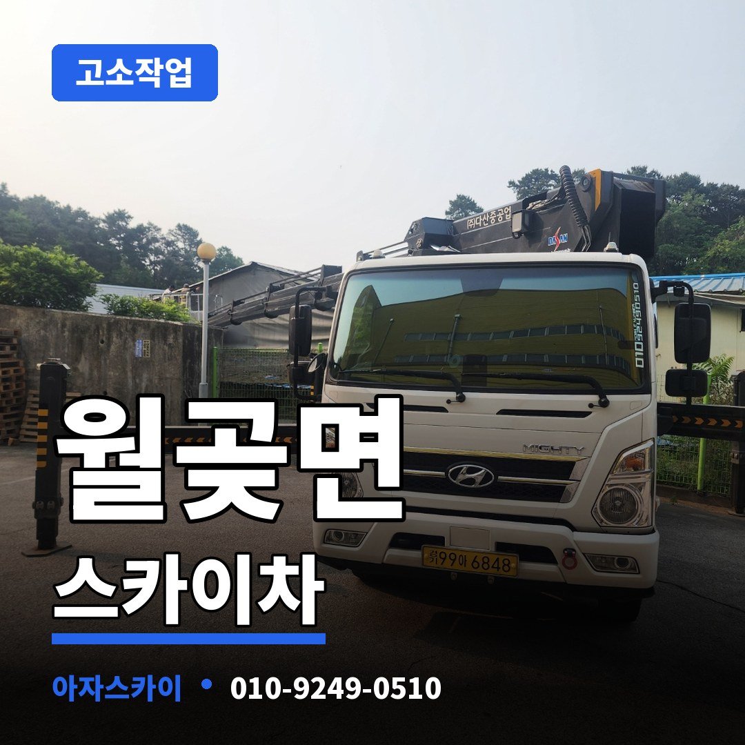 월곶면 스카이차 아자스카이