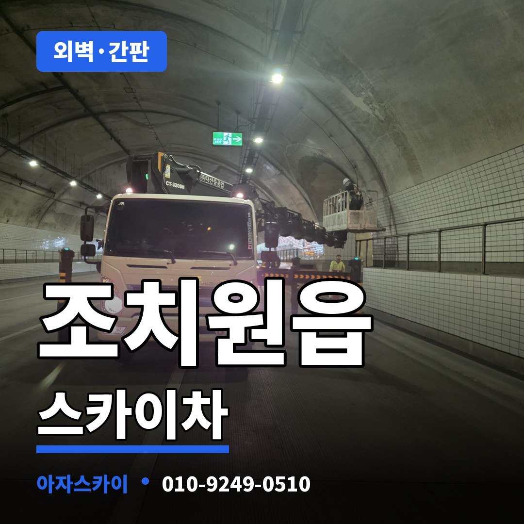 조치원읍 스카이차 아자스카이