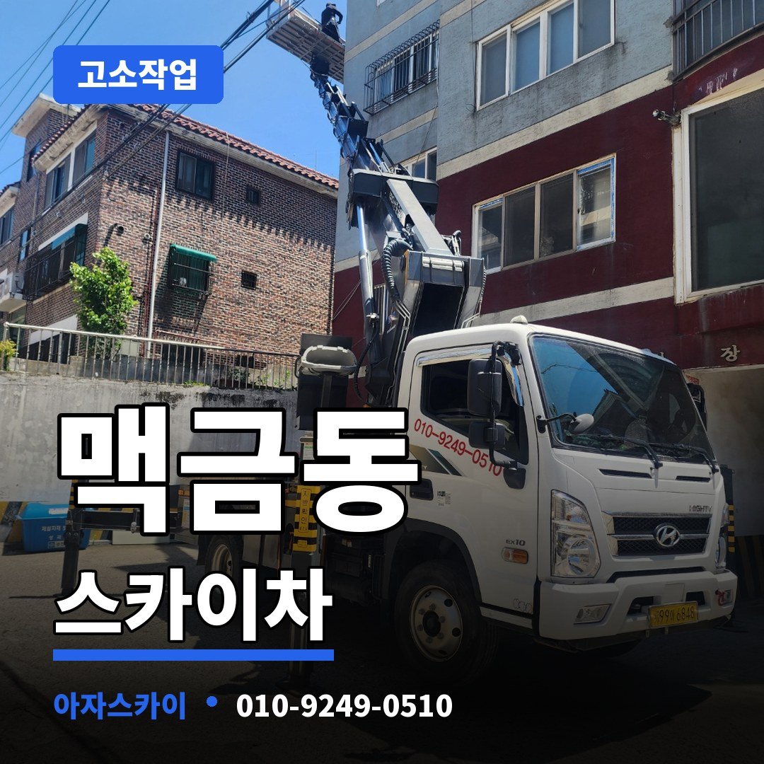맥금동 스카이차 아자스카이