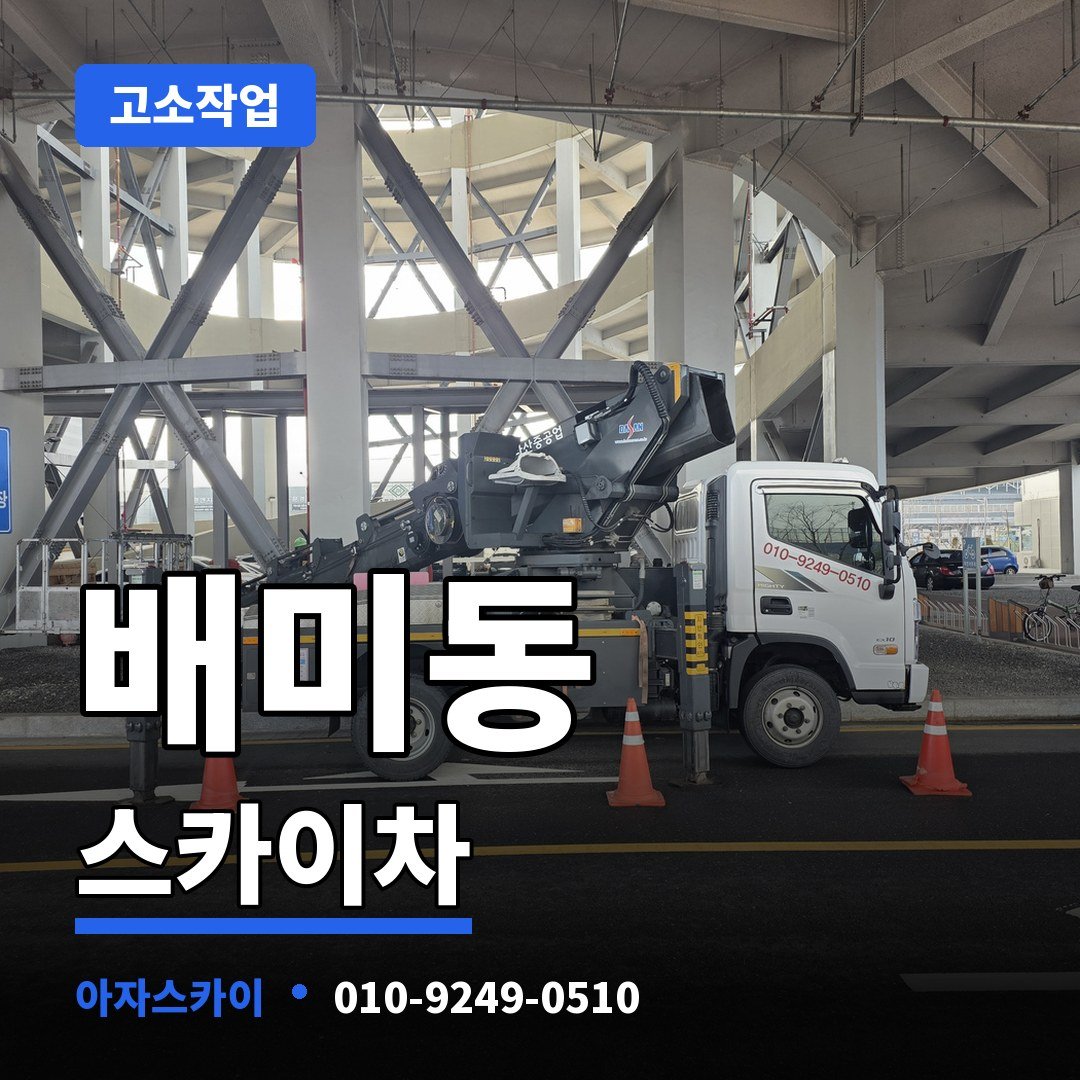 배미동 스카이차 아자스카이