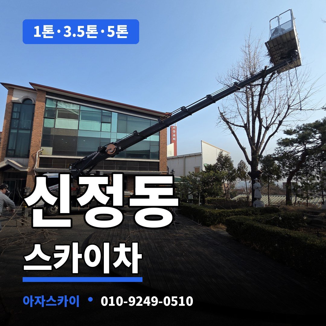 신정동 스카이차 아자스카이