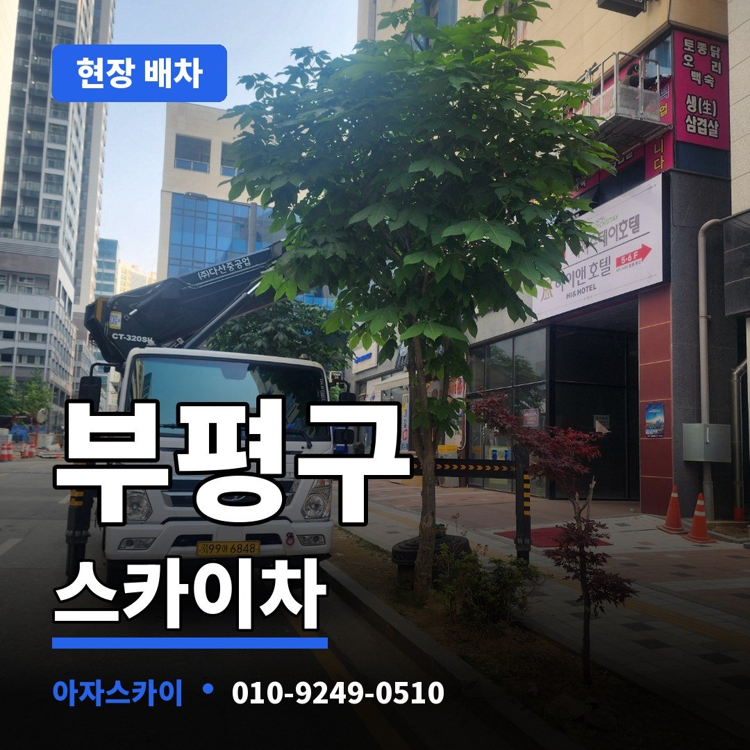 부평구 스카이차 아자스카이