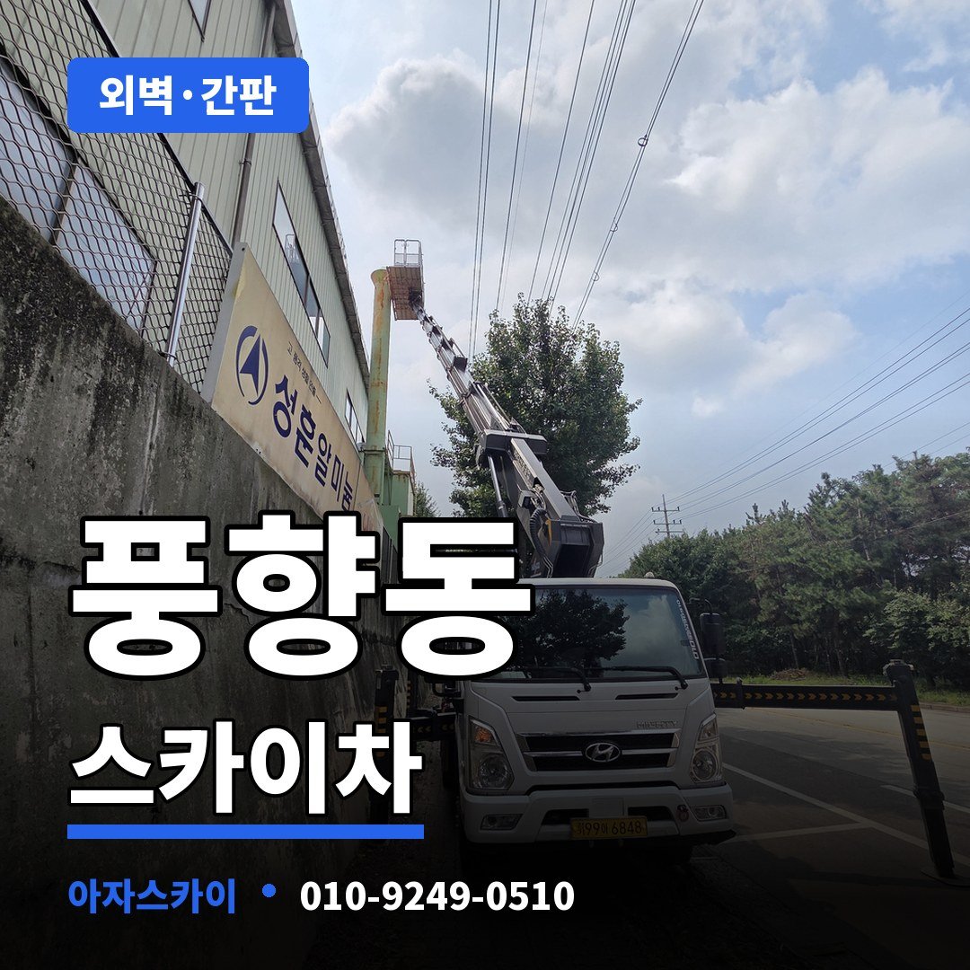 풍향동 스카이차 아자스카이