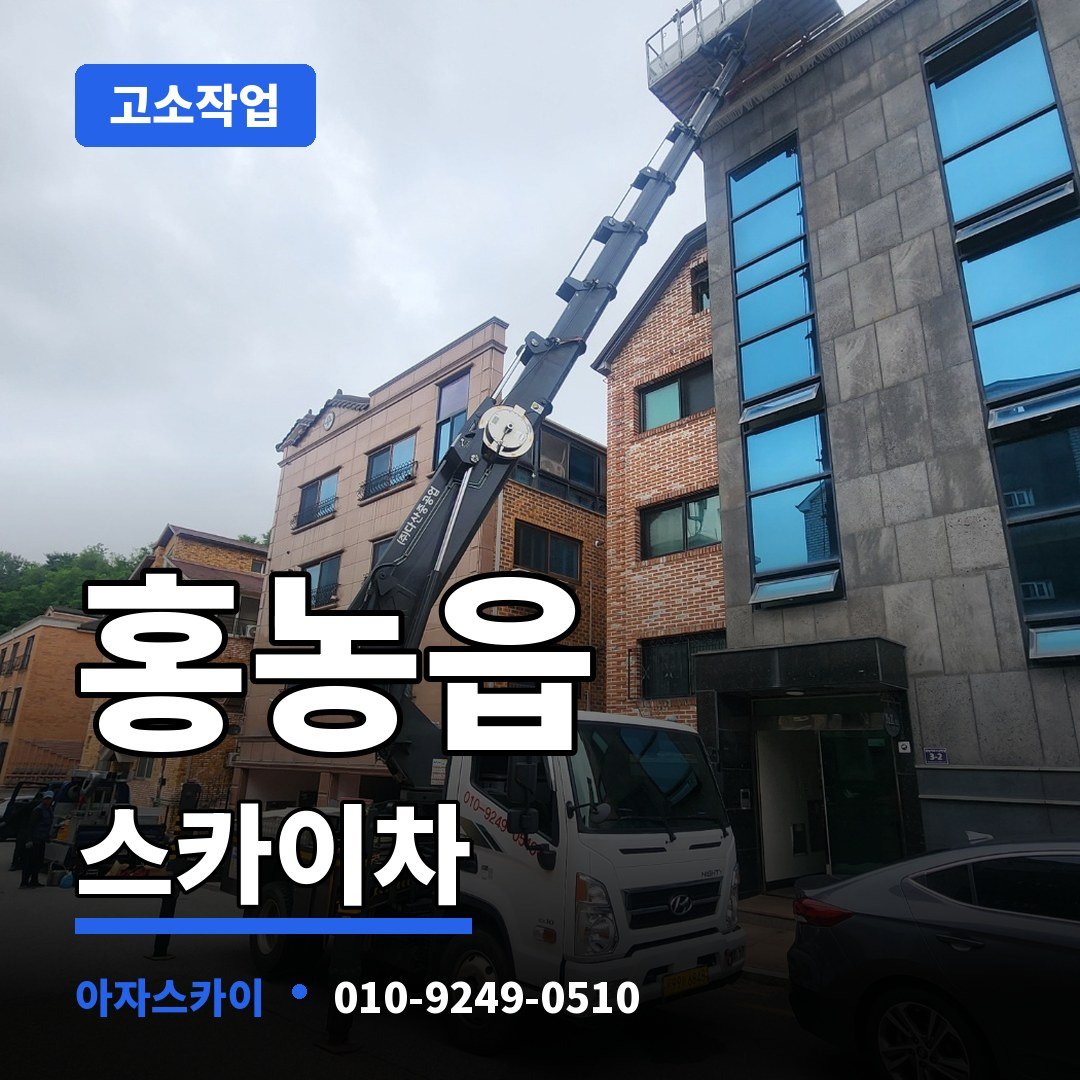 홍농읍 스카이차 아자스카이