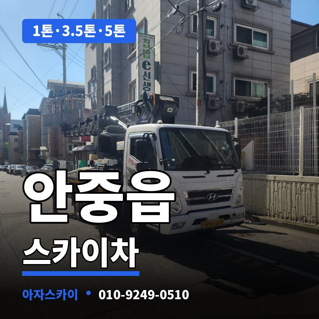 안중읍 스카이차 아자스카이