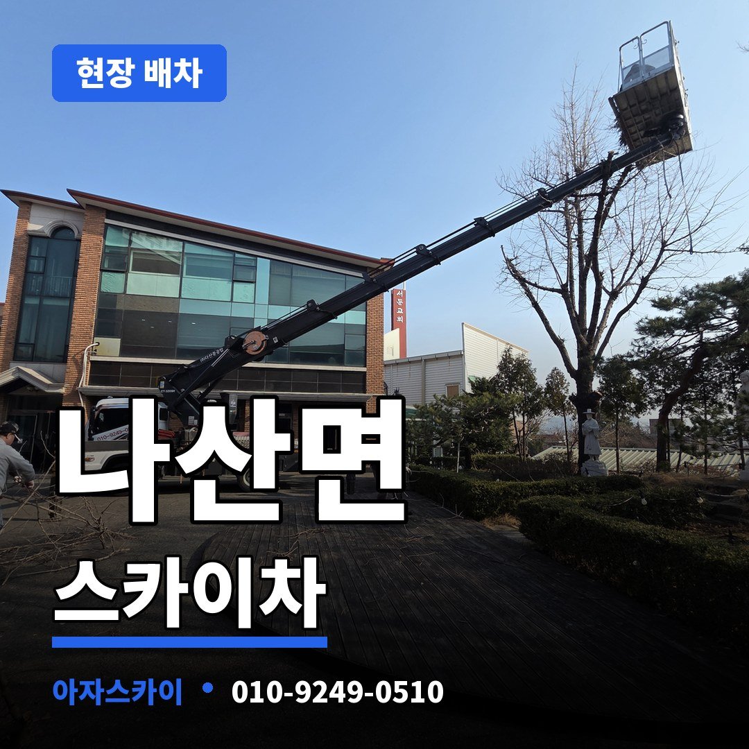 나산면 스카이차 아자스카이