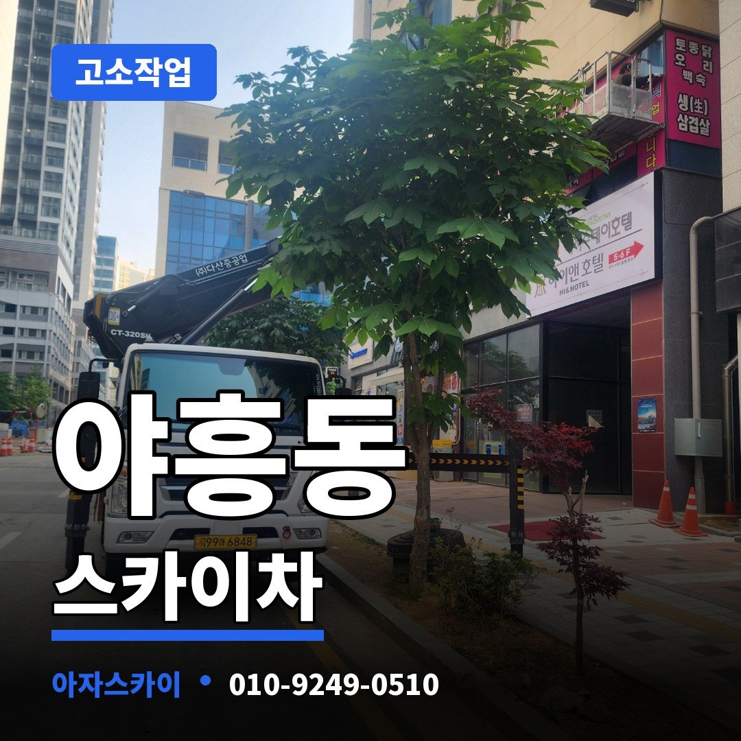 야흥동 스카이차 아자스카이